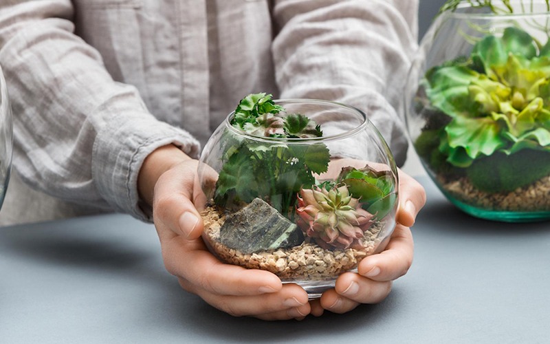 A short tale of terrarium for all