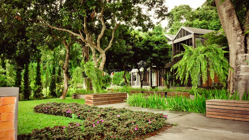 Topiary – The contemporary art you should know to bring plants alive